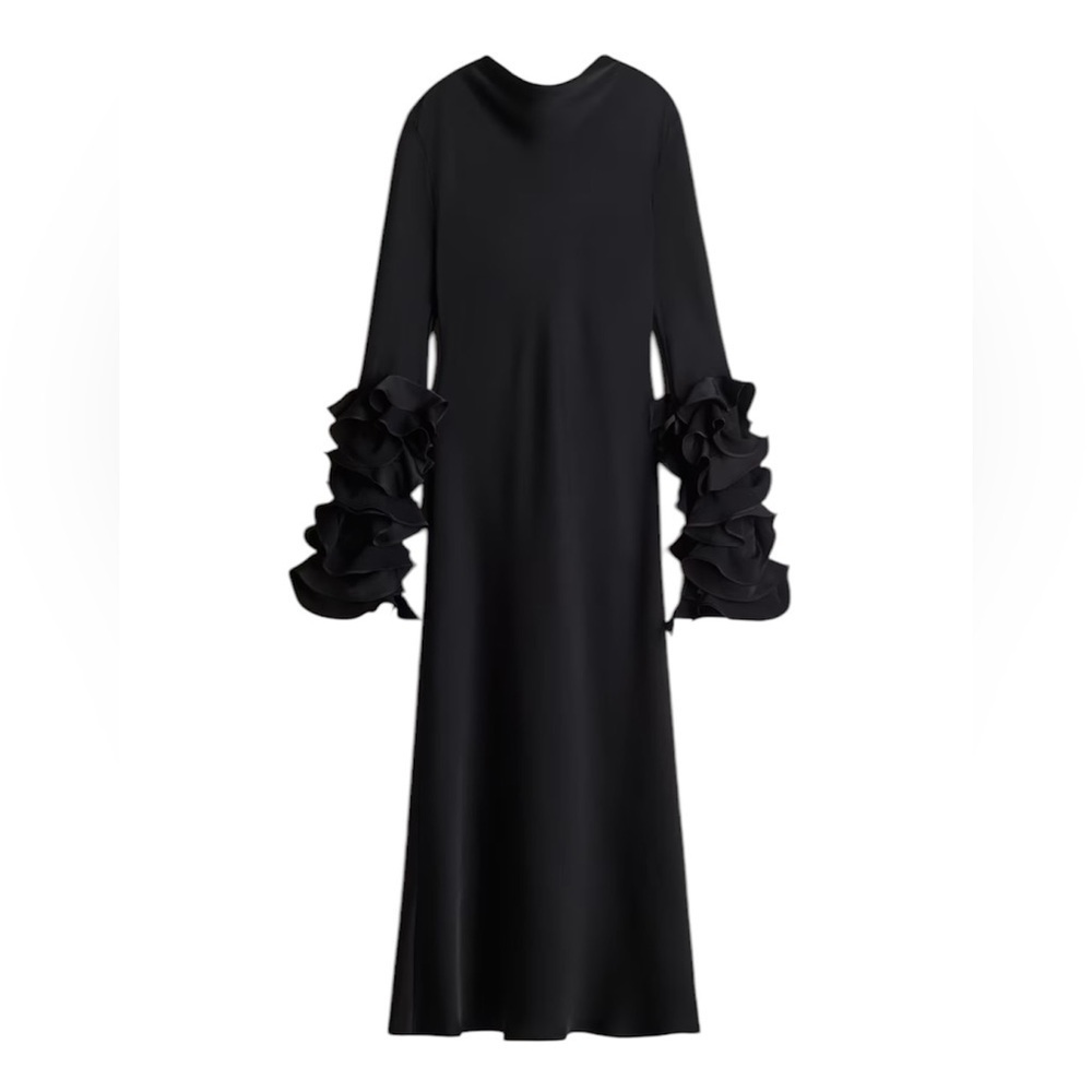 New H&M Ruffle-Sleeve Satin Dress